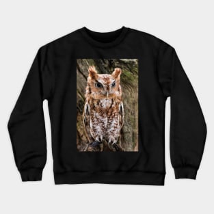 Screech Owl On Alert Crewneck Sweatshirt